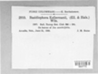 Image Associated With the Occurence